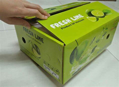 In hộp giấy đựng trái cây 12 In hộp giấy đựng trái cây