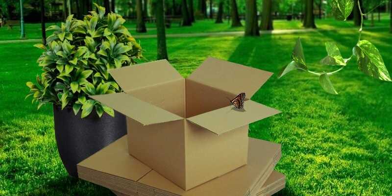 Hộp giấy với môi trường