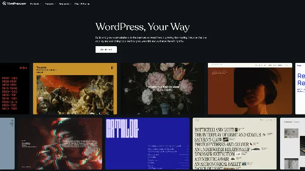 Trang chủ trình tạo trang web WordPress