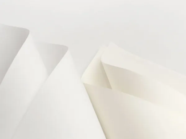 Alt: Giấy Ivory cuộn lớn trong nhà máy sản xuất giấy