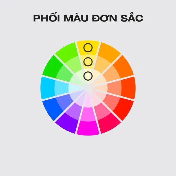 Bánh xe màu sắc trong thiết kế