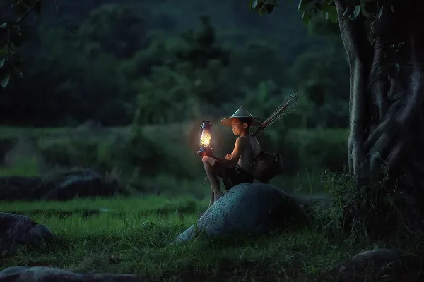 Cánh đồng lúa chín vàng