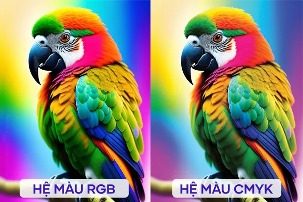 he mau cmyk