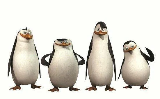 Hình ảnh 4 chú chim cánh cụt Madagascar đáng yêu