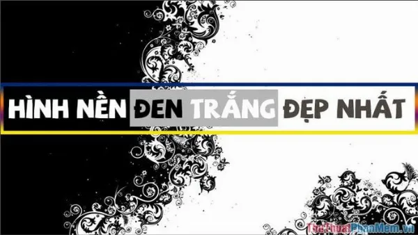 hinh nen den trang ngau 1