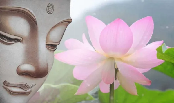 Hoa sen và Phật giáo