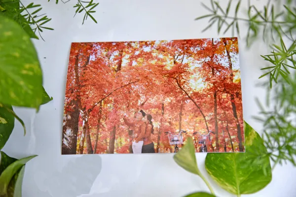 Kinh nghiệm chọn giấy in Photobook