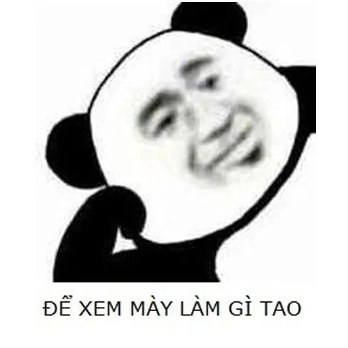 Meme gấu trúc hài hước với biểu cảm ngạc nhiên