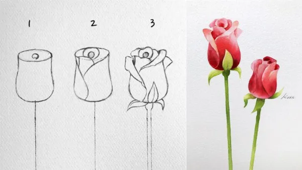 Vẽ hoa hồng đơn giản